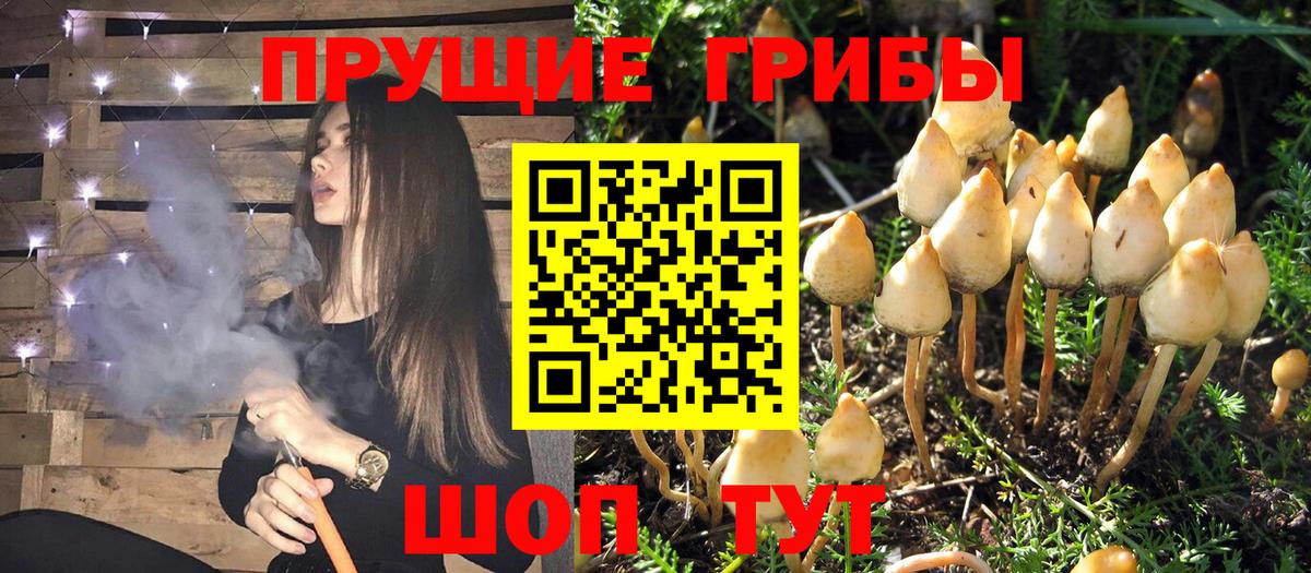Псилоцибиновые грибы ЛСД Пенза