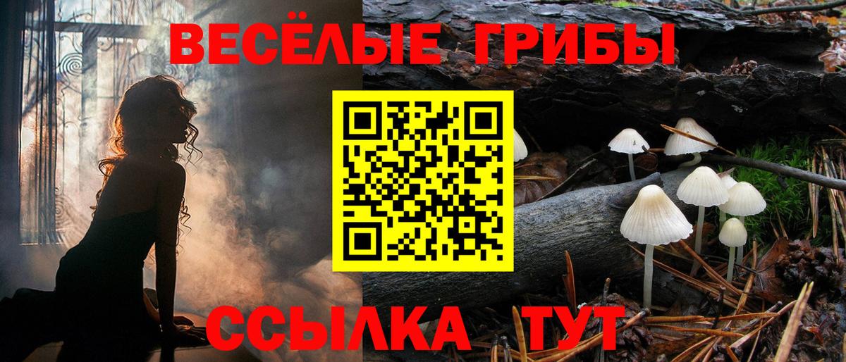 Пенза  Галлюциногенные грибы мицелий  Вход с VPN  наркота  Галлюциногенные грибы Psilocybine cubensis 